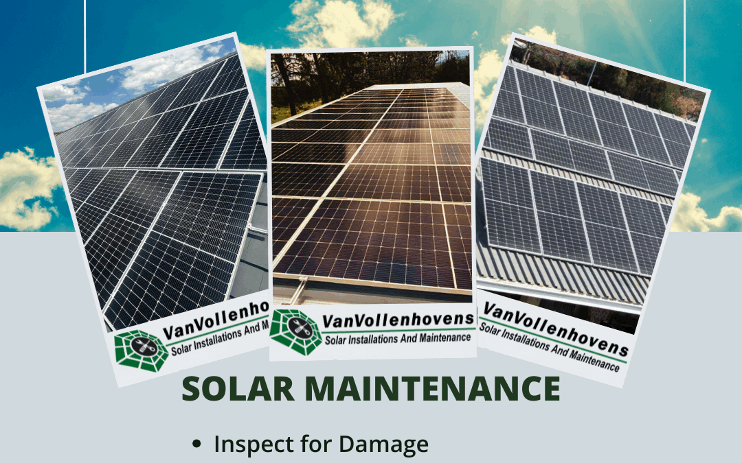 Seasonal Maintenance Tips for Solar Efficiency